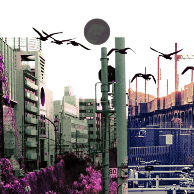 You're happy now. Front Cover