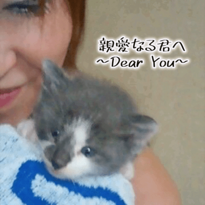 親愛なる君へのジャケット写真