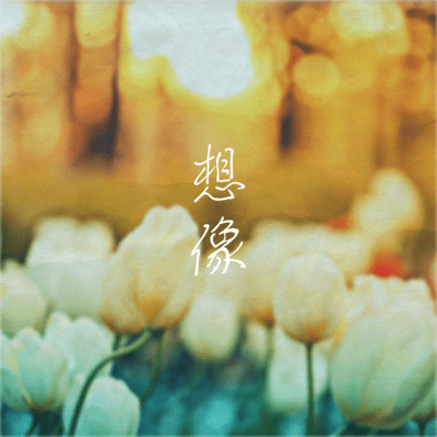 想像のジャケット写真