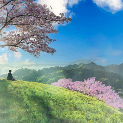 Like cherry blossoms Front Cover