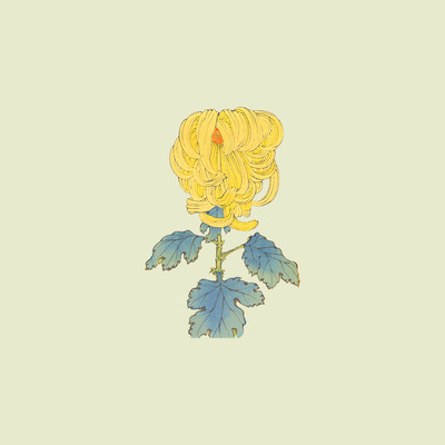 Instant death Front Cover