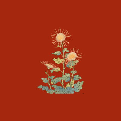 Just want to be loved Front Cover