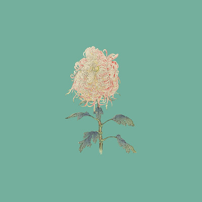 By my side Front Cover