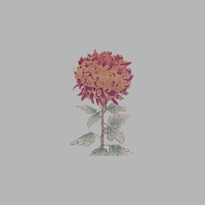 Blueberry jam Front Cover