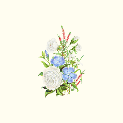 Etude of clair Front Cover