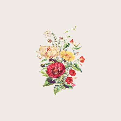 Bouquet of étudeのジャケット写真