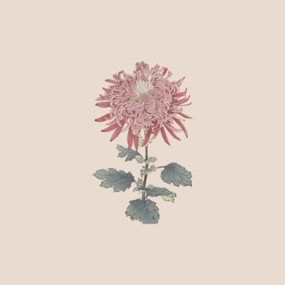 Like an idiot Front Cover