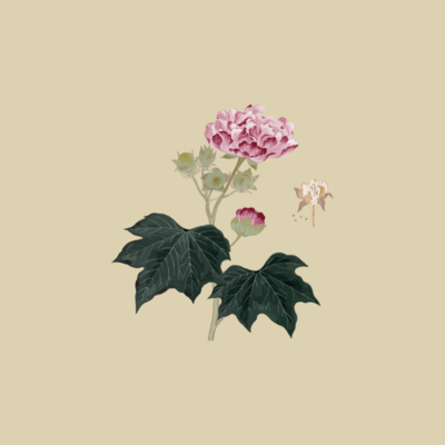 Ghost Front Cover