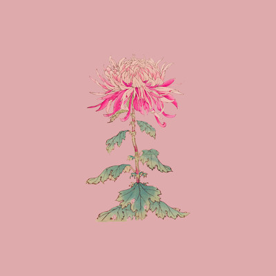 Praying for you Front Cover