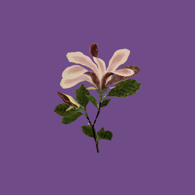 I Want You to Tell Me the Moon is Beautiful! Front Cover