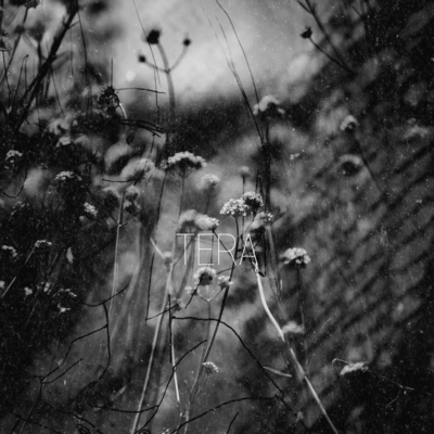 butterfly boy meets butterfly girl (feat. HATSUNE MIKU, IA & ZOLA YUU) Front Cover