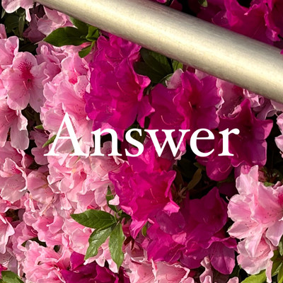 Answer Front Cover