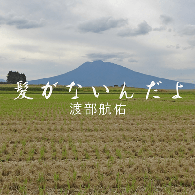 髪がないんだよのジャケット写真