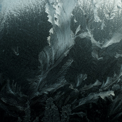 blooming Front Cover