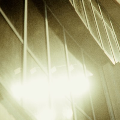 Moonflower Front Cover