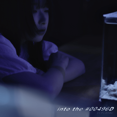 into the #00496Dのジャケット写真