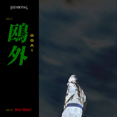 OGAI Front Cover