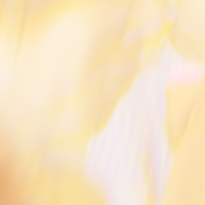 プリズムのジャケット写真