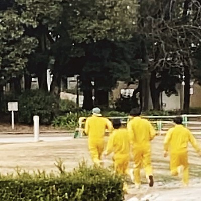 Let's go on a picnic Front Cover