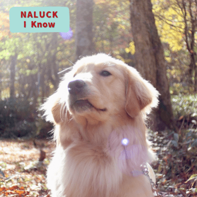 I Know (2023 Ver.) Front Cover