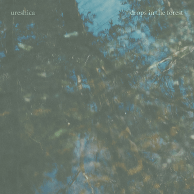 drops in the forest Front Cover
