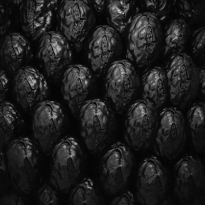 unconsciousness (prototype) Front Cover