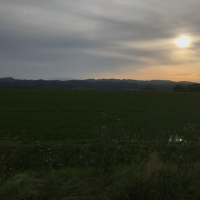 proof of existenceのジャケット写真