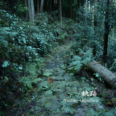 Trail Front Cover