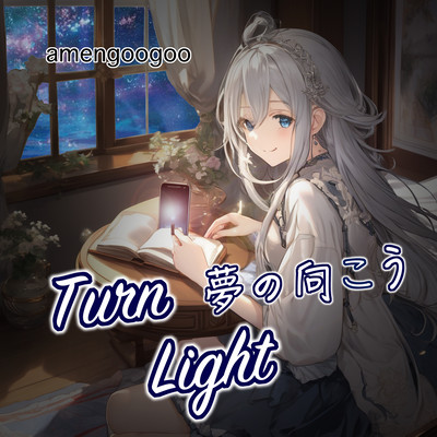 Turn Light Front Cover