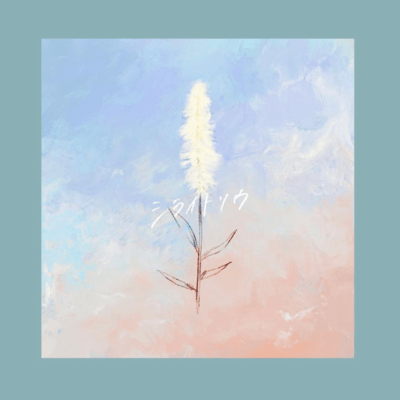 シライトソウのジャケット写真