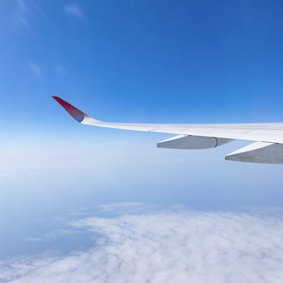 Rise Above Front Cover