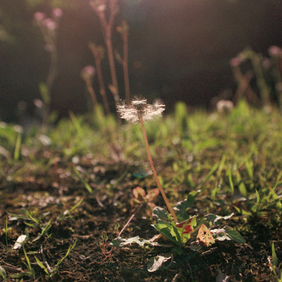 Come Back to Meのジャケット写真