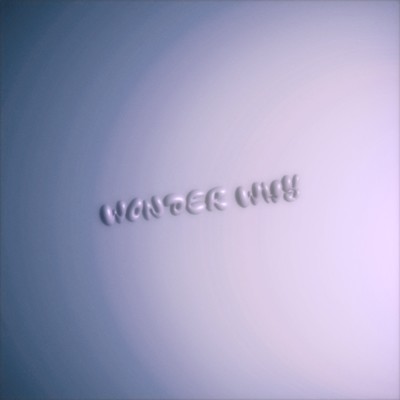 wonder why Front Cover