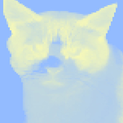 taroのジャケット写真