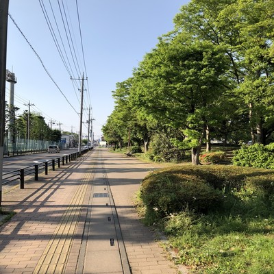 SENGENDAI MERCY RAIN Front Cover