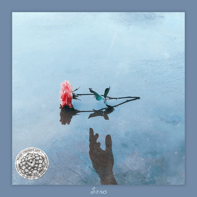 Still Blue Front Cover