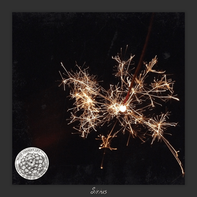 firework Front Cover