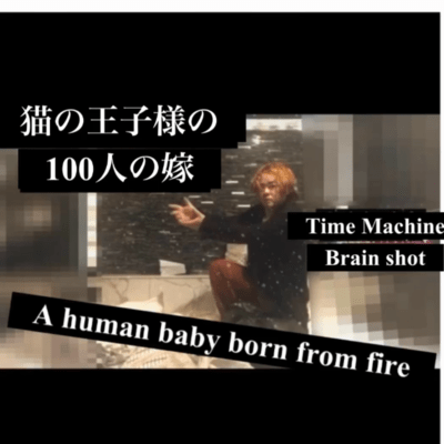 The Cat Prince and His 100 Wives (saito yasuyuki) Front Cover