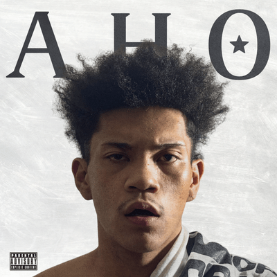 AHO Front Cover