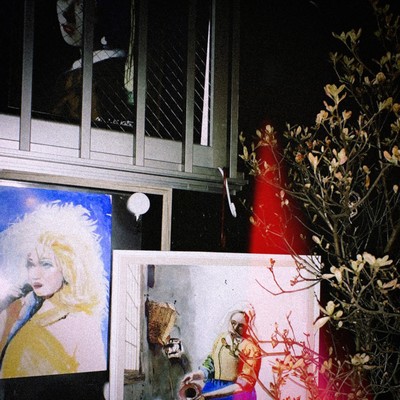 Backlash Front Cover