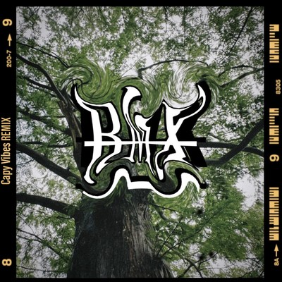 desire/night flight (Capy Vibes RMX) Front Cover