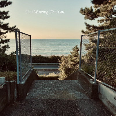 I'm Waiting For You Front Cover