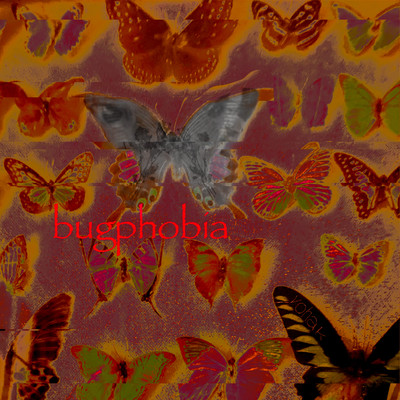 bugphobia Front Cover