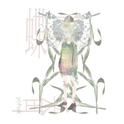 butterfly lover Front Cover