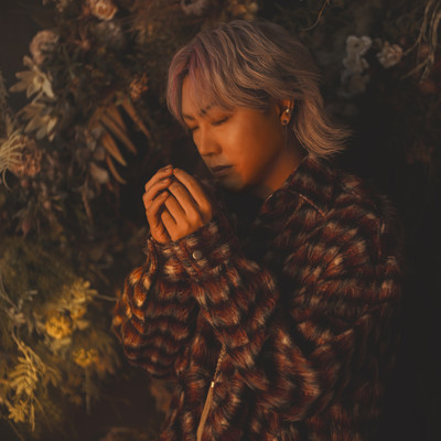 Days to Noëlのジャケット写真