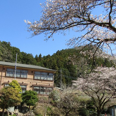 卒業 ~夢見月の風~のジャケット写真