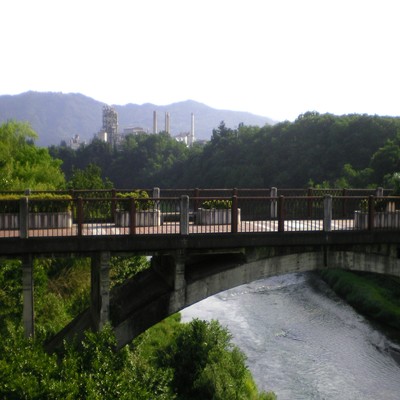 OMOIBASHI BLUESのジャケット写真