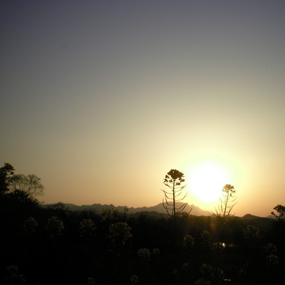 I WAS BORN TO MEET YOU SOMEDAY Front Cover