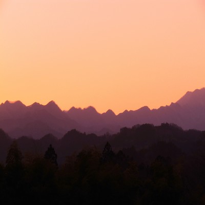 あんずのジャケット写真