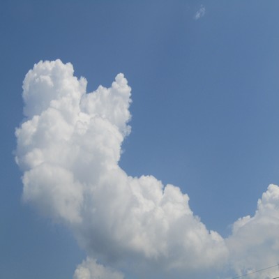 忘れない夏のジャケット写真